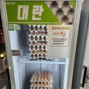 착한계란할인점 | 구리 착한가게 / 아이스크림 유제품 전국 최저가(W.좋은계란할인점)