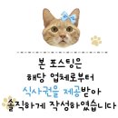 오류식당 | 방송에도 출연한 구로구 오류동 국물닭발 - 김봉환의 1984 심야살롱 오류본점 방문후기
