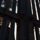 장수장의사 이미지