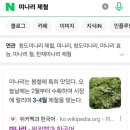 장류마실 | 청도 한재미나리 축제ᆢ미나리 삼겹살이 맛있는 한재마실 아쉬운 점 주말 웨이팅 후기