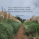 아하스