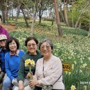 202504 태안 신두리해안사구 이미지