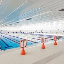 아레나 수영장 이미지