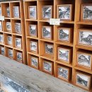 펜 드로잉 | 북촌한옥마을 숨은 전시관, 김현관 펜드로잉✏️ 완전 감동 후기