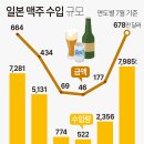 일본 맥주 수입 규모 이미지