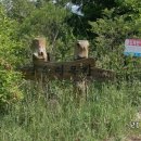 대강목장 이미지