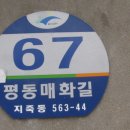 지죽동 매화길 이미지