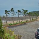 파도와노을캠핑장 | [충남] 태안 파도와 노을 캠핑장 장단점 후기