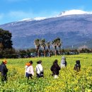 남원읍-17 이미지