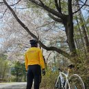 성곡지 | 2024.04.10 헐~몰~팔