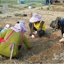 보훈농장 이미지