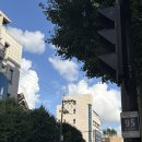 한강안마원 | 7월 4주 :: 덥고 지칠수록 삶을 도톰하게