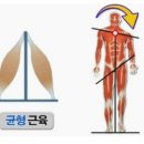 JL fitness 이미지