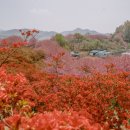 완산-70 이미지