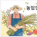 에이스태권도장 이미지