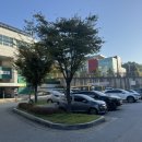 파파누리 이미지