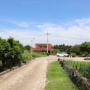 조천초등학교교래분교장 이미지