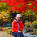 백봉초등학교 이미지