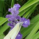 장한말길 이미지