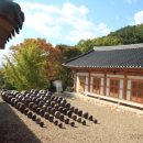 용진정사 | 대통령생가,수태골,한티순교성지와 억새마을,가산산성,해원정사,진남문,다부동전적기념관)거가보이시더