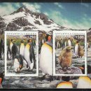 Re: Collecting Penguins 이미지
