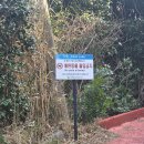 경천리 마을회관 앞 공중화장실 | 2026 거제 공곶이 방문후기(애견동반여부,수선화 개화 등)