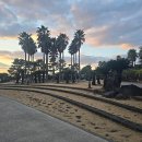 중문대포주상절리대 이미지