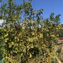 화순이서우체국 이미지