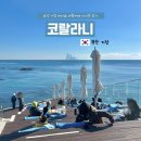 까페 코랄라니 | 부산 기장 오션뷰 대형카페, 코랄라니 다녀온 솔직후기