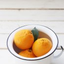 미우랑농장 이미지