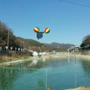 (주)도그아일랜드 이미지