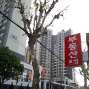 SK정문공인중개사사무소 이미지