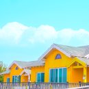 토토하우스 이미지