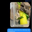 크레산도 - 수성구 알파시티2로3길 48-11 | 크레산도