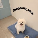 두리미용실 티스토리