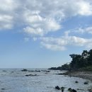 주상목장 이미지