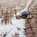 약사초등학교 이미지