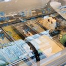 그린제일목장 이미지