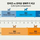 고운가이드치과병원 이미지