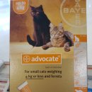 코끼리 동물약국 이미지