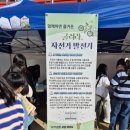 신용초등학교 이미지