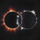 더로즈 The Rose / Back to me (여자key G) mr 이미지