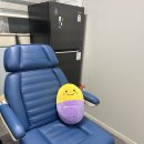 도브의원 이미지