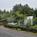 (주)미소텍비앤에이치 | 제주여행 : Just the two of us