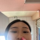 정철 동물병원 | 수험생으로서의 한 달 반