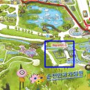 청옥고려인삼 | [순천] 첫째 날: 순천만국가정원(서문 방향) 내 '예술테마파크'(171105)