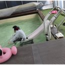 신두리세븐패밀리캠핑장 이미지