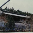 자양면-삼귀리-12