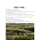 희망의 나라로...(2024, 10.13) 이미지