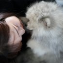 브이디자인스튜디오 이미지